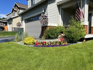 67755050433 D5e77729 05e7 4fbd Bf42 5d00b309e1f6 Scaled