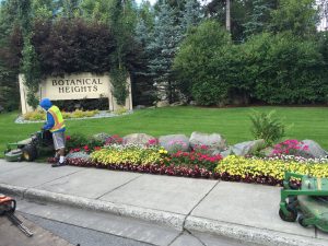 Lawn Care Commercial