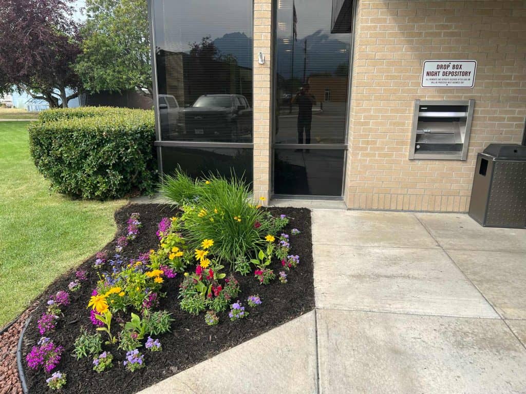 Lawn Aeration & Dethatching: Must-Have Landscaping Services in Anchorage