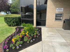 Lawn Aeration & Dethatching: Must-Have Landscaping Services in Anchorage