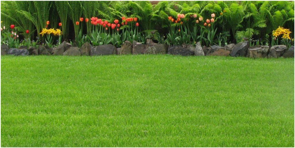 How Landscaping in Anchorage Can Help Prevent Lawn Fungus and Weeds
