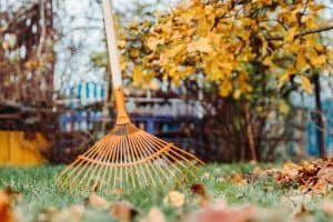 Build a yard that handles Anchorage winters and shines in summer—plants, hardscapes, and smart layouts that cut upkeep.