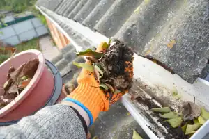 Gutter Cleaning and Repair