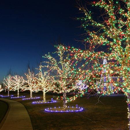 Holiday Lights